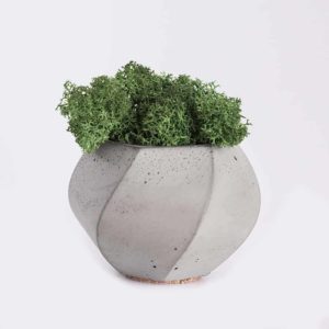 Green Soil Lotus